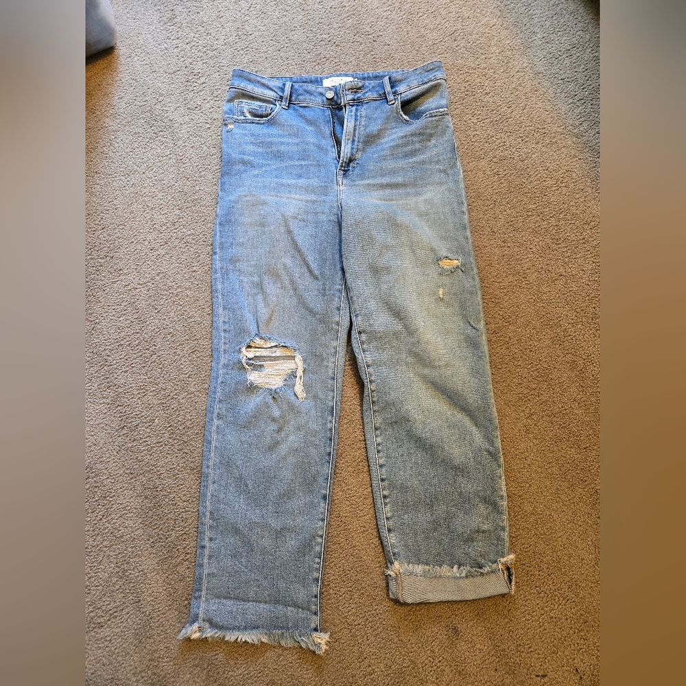 Hidden Brand Distressed Blue Jeans